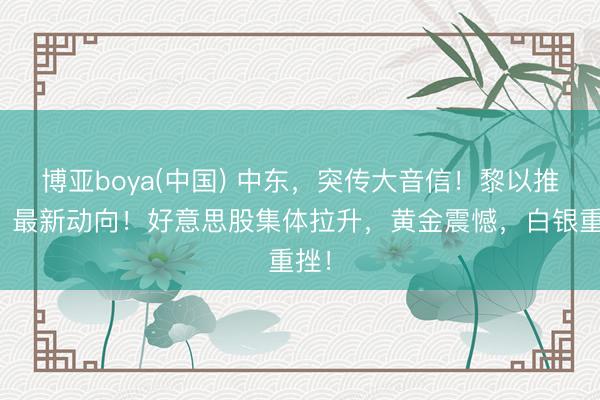 博亚boya(中国) 中东，突传大音信！黎以推敲，最新动向！好意思股集体拉升，黄金震憾，白银重挫！