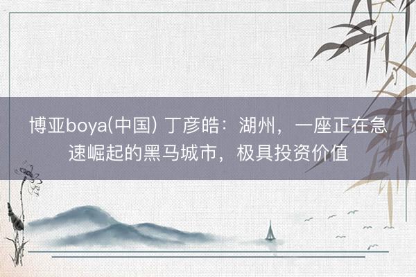 博亚boya(中国) 丁彦皓:湖州,一座正在急速崛起的黑马城市,极具投资价值