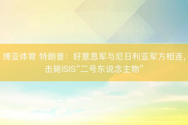 博亚体育 特朗普：好意思军与尼日利亚军方相连，击毙ISIS“二号东说念主物”