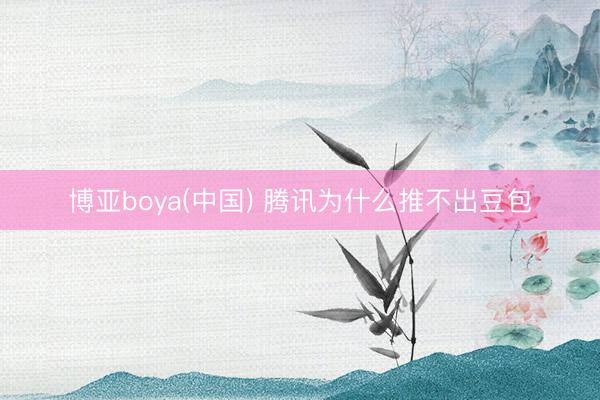 博亚boya(中国) 腾讯为什么推不出豆包
