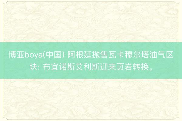 博亚boya(中国) 阿根廷抛售瓦卡穆尔塔油气区块: 布宜诺斯艾利斯迎来页岩转换。