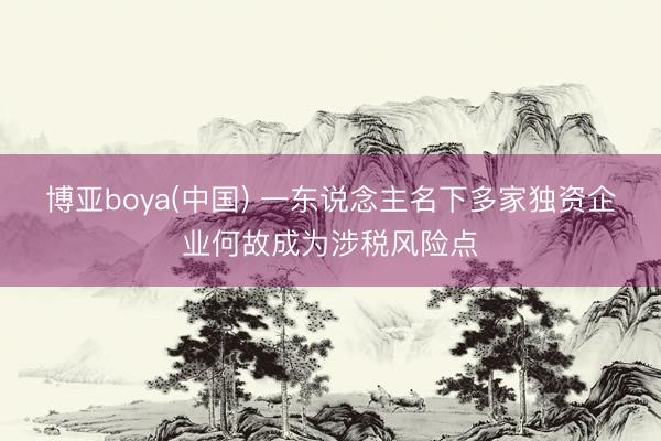 博亚boya(中国) 一东说念主名下多家独资企业何故成为涉税风险点