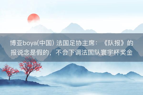 博亚boya(中国) 法国足协主席:《队报》的报说念是假的,不会下调法国队寰宇杯奖金