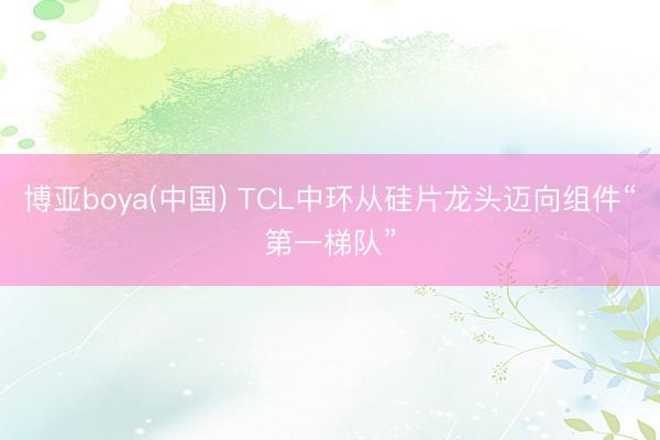 博亚boya(中国) TCL中环从硅片龙头迈向组件“第一梯队”