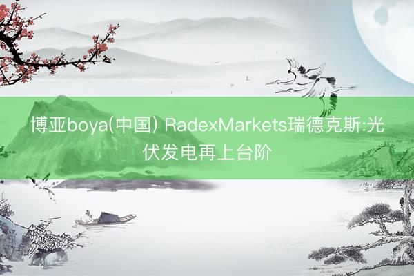 博亚boya(中国) RadexMarkets瑞德克斯:光伏发电再上台阶