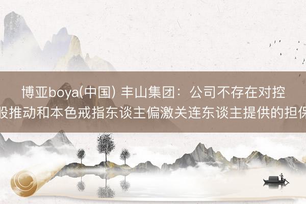 博亚boya(中国) 丰山集团：公司不存在对控股推动和本色戒指东谈主偏激关连东谈主提供的担保
