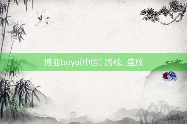 博亚boya(中国) 路线， 盛放