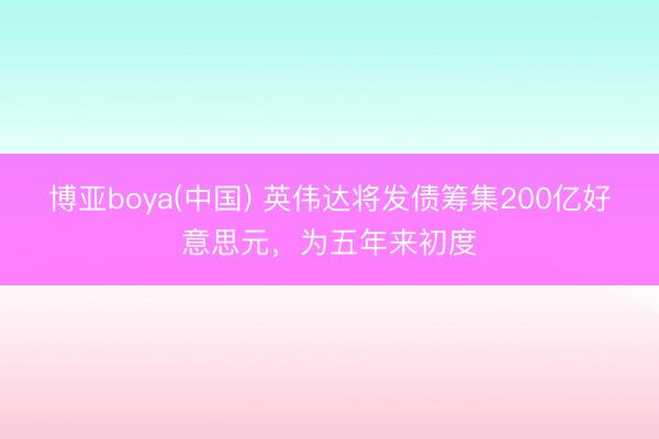 博亚boya(中国) 英伟达将发债筹集200亿好意思元，为五年来初度
